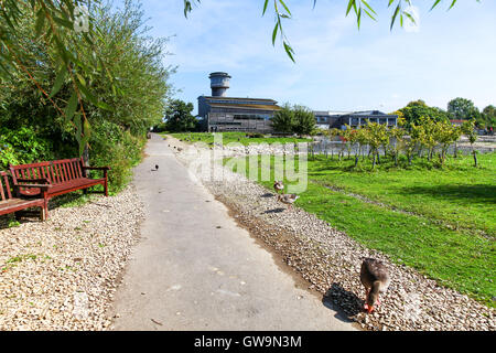 The Sloane Severn Trent observatory tower at the Wildfowl and Wetlands Trust Slimbridge Wetland Centre, Slimbridge, Gloustershire Stock Photo