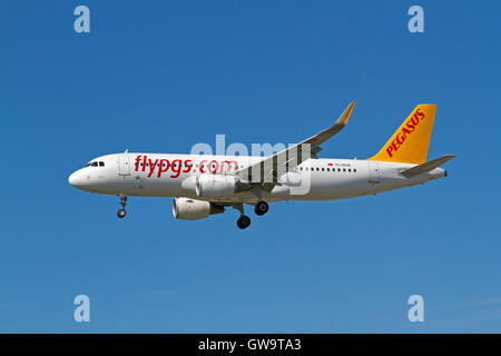 Pegasus Airlines, Airbus A320, flight PC831, TC-DCB, from Istanbul, Turkey, on final approach to Copenhagen Airport, CPH Stock Photo