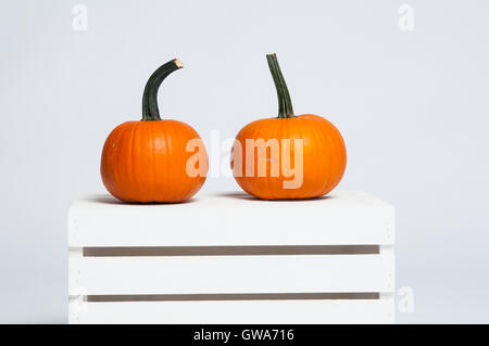two bright orange pumpkins on a white crate Stock Photo