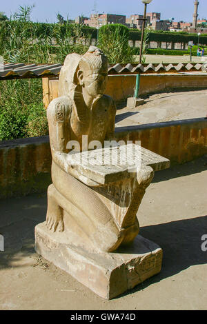 Egypt, Cairo, Heliopolis, open air museum, obelisk parc. The king Sethy II presents an offering table. Stock Photo