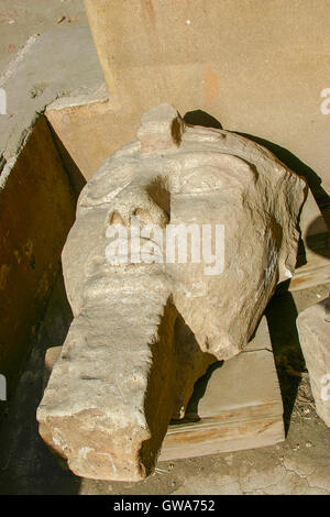 Egypt, Cairo, Heliopolis, open air museum, obelisk parc. Very big head of a colossus. Stock Photo