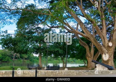 Trees and cannon on the riverfront in the colonial town of Mompox, Colombia Stock Photo