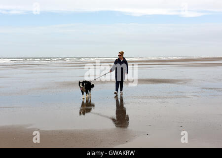 Woman walking border collie dog on the beach at Tywyn in Mid Wales Stock Photo