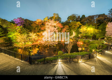 Cherry blossom, Hotel Chinzanso Tokyo, Bunkyo-Ku,Tokyo,Japan Stock Photo