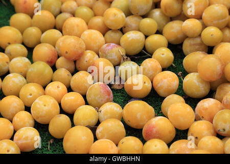 Mirabel plums on stall in market at Place d'Eglise, Larmor-Baden, Morbihan, Brittany, France Stock Photo
