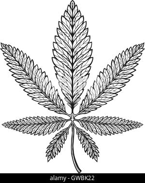 Marijuana ethnic graphic style. Cannabis, marihuana or hemp symbol Stock Vector