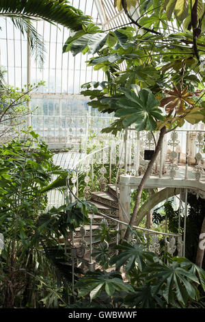 Spiral staircase inside the 'Palm House' in Kew, Royal Botanic Gardens, London, UK. Stock Photo