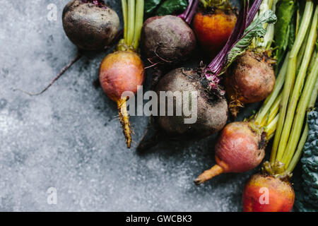 Freshly picked beets are photographed from the top view. Stock Photo