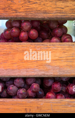 Tuesday is the day on which the Misak, Guambianos, Indigenous people reach the market to trade their products, vegetables, fruit Stock Photo