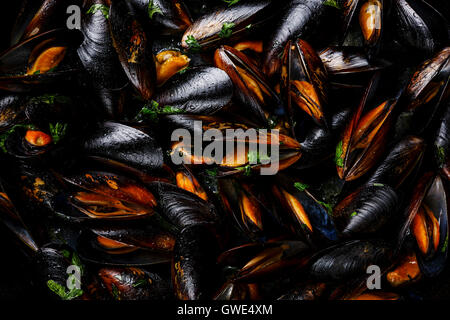 Mussels clams in white wine with parsley close up Stock Photo