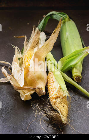 Organic garden vegetables fresh young corn cobs with leaves over dark background. Rustic style, natural day light. Stock Photo
