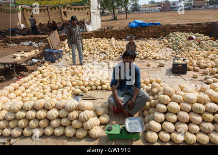 India MuskMelons at a fruit market in Vikarabad