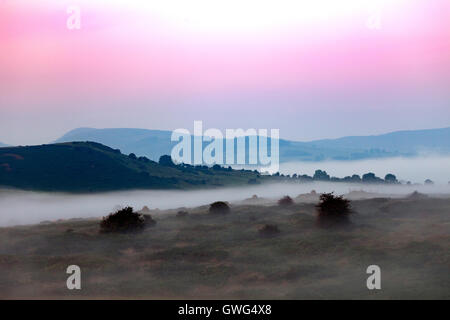 Halkyn Mountain, Flintshire, Wales, UK. 1 Pink glow in the sky as morning mist and fog covers the mountain with the Clwydian Hills in the distance Stock Photo