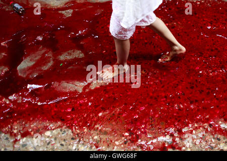 Dhaka, Bangladesh. 13th Sep, 2016. A Bangladeshi girl walks on a street full with blood comes from animals sacrificed for the Eid al-Adha festival in Dhaka, Bangladesh. Muslims across the world celebrate the annual festival of Eid al-Adha, or the Festival of Sacrifice, which marks the end of the Hajj pilgrimage to Mecca and in commemoration of Prophet Abraham's readiness to sacrifice his son to show obedience to God. © Suvra Kanti Das/ZUMA Wire/Alamy Live News Stock Photo