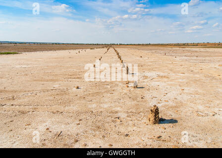 Petrified tree stubs on the bank of the salty lake, Kuyalnik, Ukraine Stock Photo