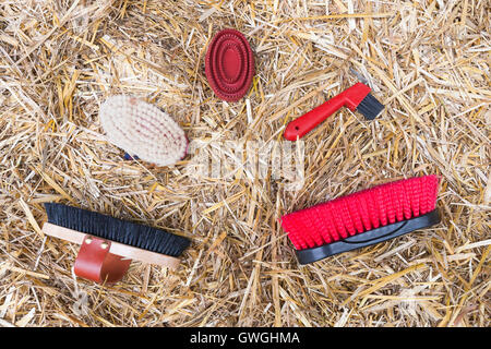 Grooming kit: Brushes and plastic curry comb on straw Stock Photo