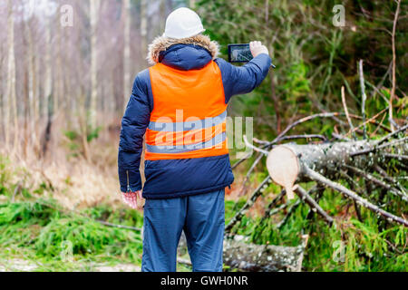Forest inspector using tablet PC near tree in forest Stock Photo