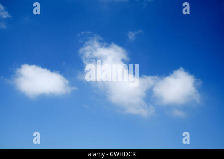 Blue sky with Cumulus clouds looking up Stock Photo