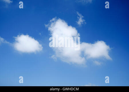 Blue sky with Cumulus clouds - looking up Stock Photo