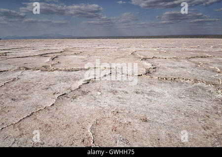 Landscape of dry soda lake at Lake Magadi, Kenya. Africa. Stock Photo