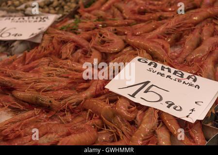 A walk around the market is a feast for all the senses. Fresh gamba (prawns) for sale at the Mercado de la Boqueria, Barcelona. Stock Photo