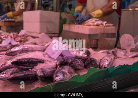 A walk around the market is a feast for all the senses. Fresh fish produce for sale at the Mercado de la Boqueria, Barcelona. Stock Photo