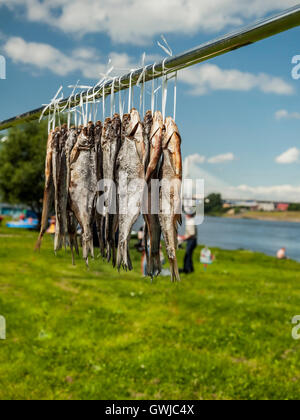 A bunch of dried fish in the open air. Roach. Stock Photo
