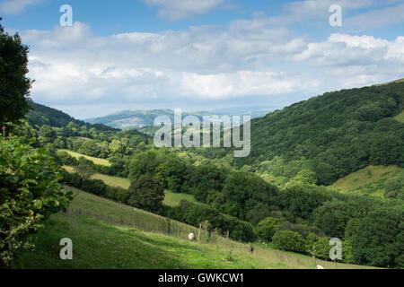 Wooded Welsh valley near Builth Wells in mid-Wales, UK.
