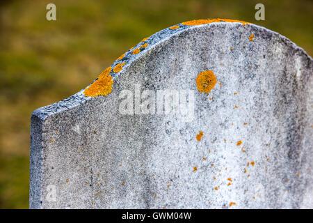 Yellow lichen grows on an old grave stone. Stock Photo