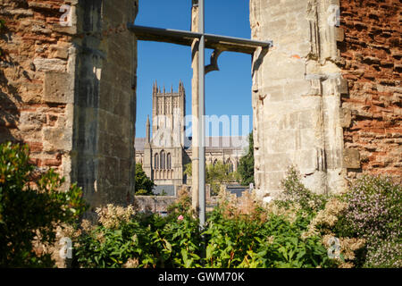 View of Wells Cathedral Church of Saint Andrew from the Bishop's Palace Stock Photo