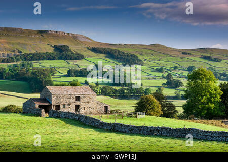 Barn at Appersett backed by Abbotside Common, near Hawes, Wensleydale, Yorkshire Dales National Park, Yorkshire, England, UK Stock Photo