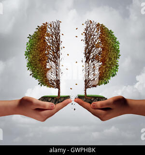 Broken and divided trouble concept as two diverse hands tearing apart a tree resulting in damage and weakness as a business metaphor for harmful disagreement and disunity with 3D illustration elements. Stock Photo