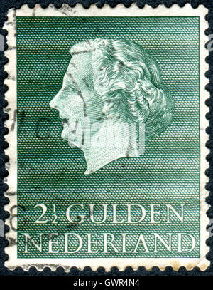 NETHERLANDS - CIRCA 1955: Postage stamp printed in the Netherlands, shows Queen Juliana, circa 1955