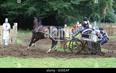 Single horse carriage competing in marathon Stock Photo