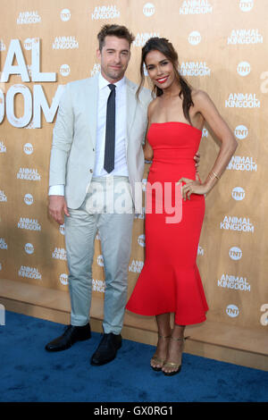 Premiere of TNT's 'Animal Kingdom' at The Rose Room - Arrivals  Featuring: Scott Speedman, Daniella Alonso Where: Los Angeles, California, United States When: 08 Jun 2016 Stock Photo