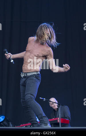 Iggy Pop performs at the Isle of White Festival  Featuring: Iggy Pop, James Newell Osterberg Where: Isle Of Wight, United Kingdom When: 11 Jun 2016 Stock Photo