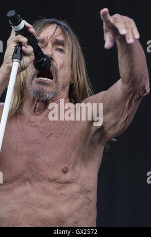 Iggy Pop performs at the Isle of White Festival  Featuring: Iggy Pop, James Newell Osterberg Where: Isle Of Wight, United Kingdom When: 11 Jun 2016 Stock Photo