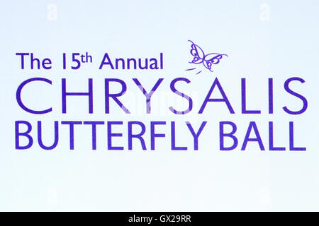 15th Annual Chrysalis Butterfly Ball  Featuring: Atmosphere Where: Brentwood, California, United States When: 12 Jun 2016 Stock Photo