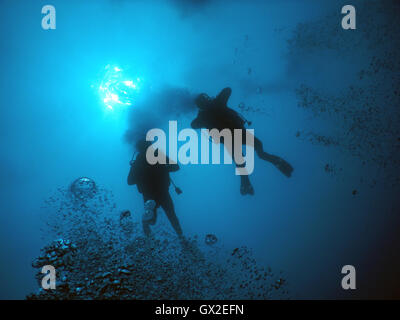 Diving in the crystal clear water of Mediterranean. Underwater photos ...