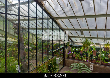 Tropical plants greenhouse in Kew Gardens Stock Photo