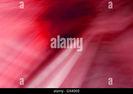 Abstract background blur and multi-colored photo effects Stock Photo