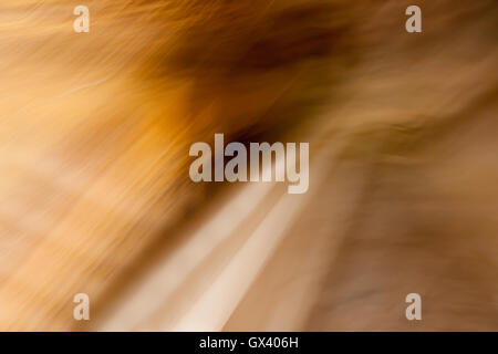 Abstract background blur and multi-colored photo effects Stock Photo