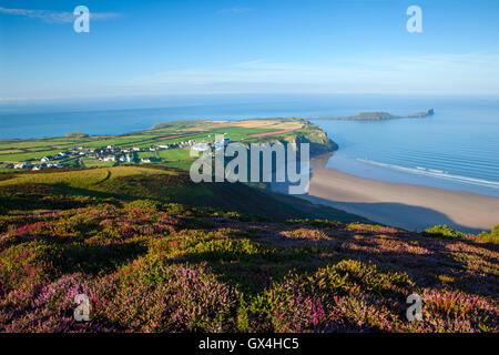 Worm's Head, Gower, as seen from the top of the heather covered Rhossili Downs, summertime. Stock Photo