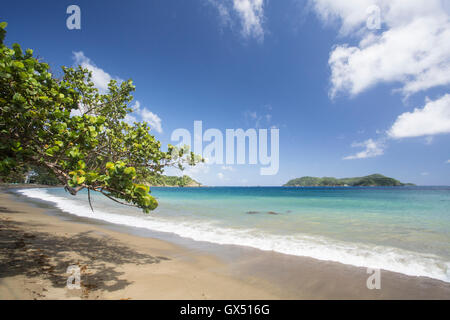 view of Goat Island from Speyside, northern Tobago, showing Caribbean sea and ocean and forest Stock Photo