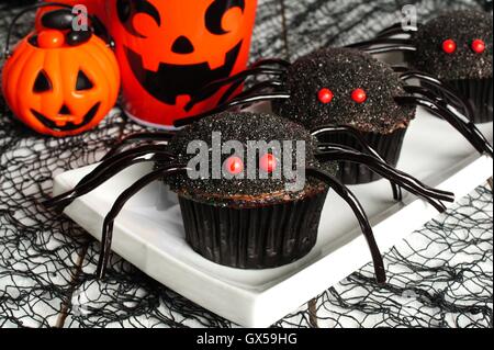 Spider cupcakes on a plate with Halloween decor Stock Photo