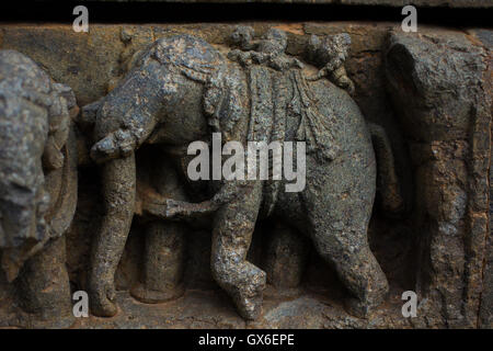 Elephant sculptures on the wall panel relief and molding frieze in horizontal treatment in Chennakesava Temple, Somanathapura