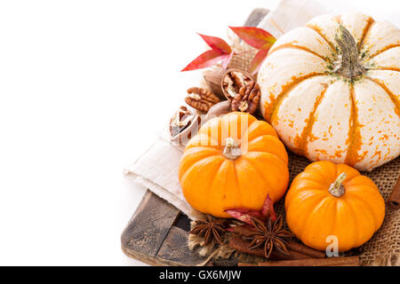 Variety of decorative pumpkins on white background Stock Photo