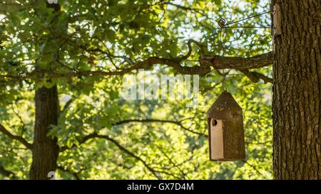 Outdoor birdhouse on tree in forest Stock Photo