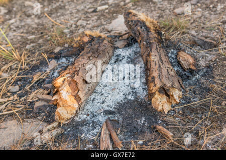 Ash around burned down campfire in nature Stock Photo