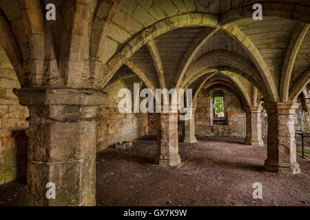 The undercroft of St Leonard's Hospital in Museum Gardens, York, North Yorkshire, England, UK. Stock Photo